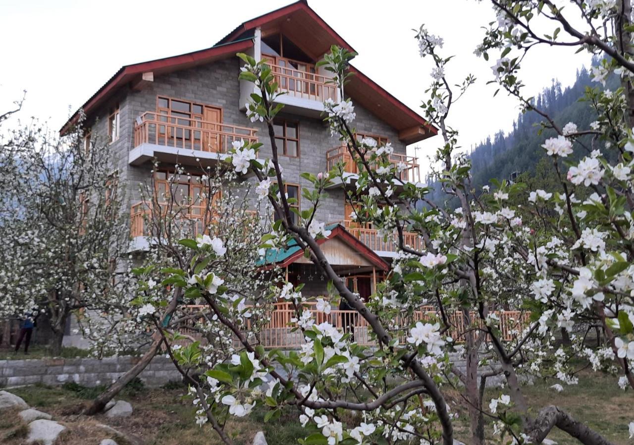 The Heaven'S Retreat Manali (Himachal Pradesh) Exterior photo
