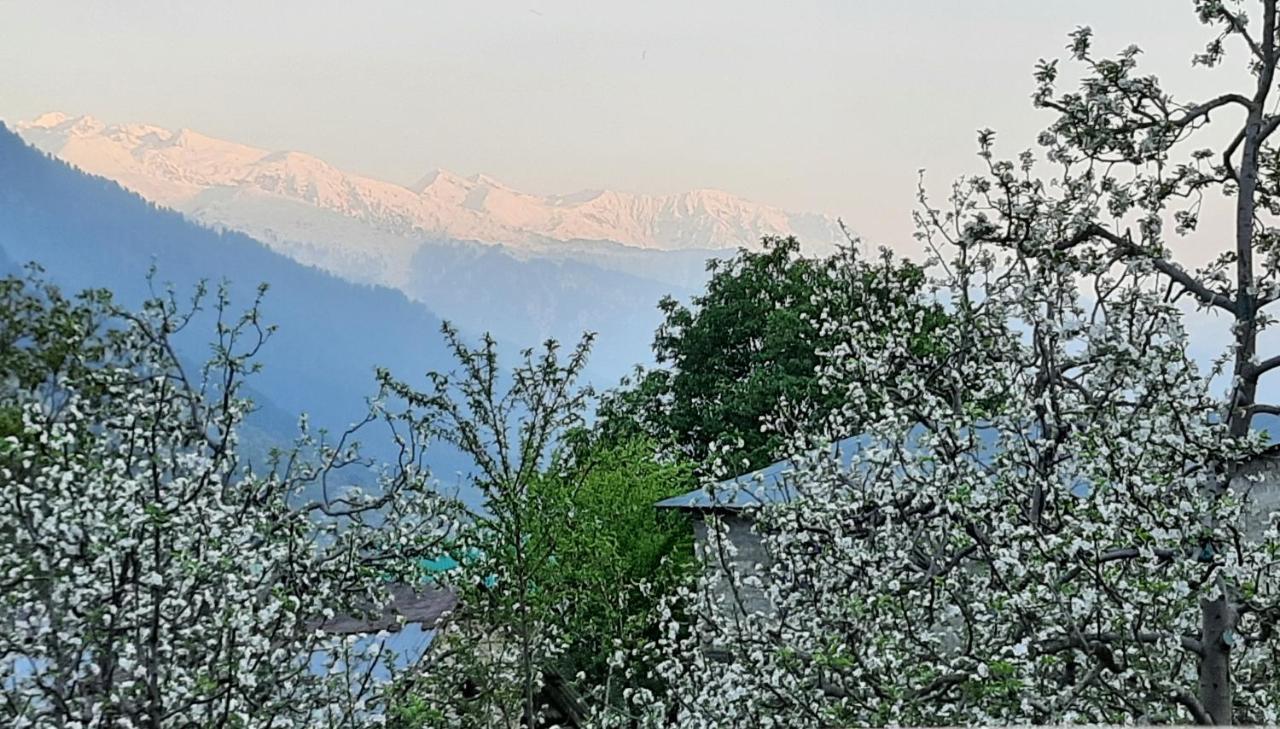 The Heaven'S Retreat Manali (Himachal Pradesh) Exterior photo