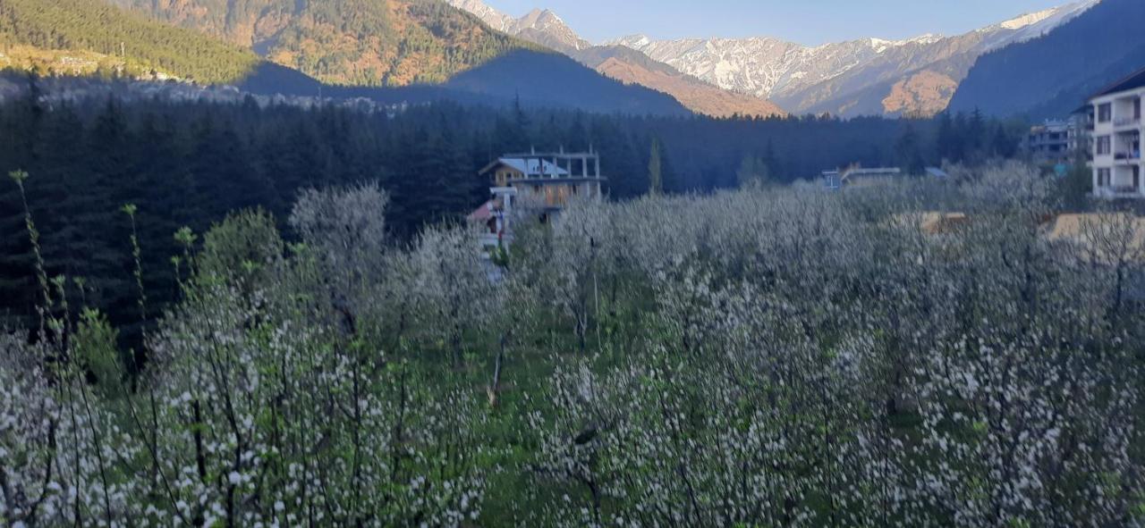 The Heaven'S Retreat Manali (Himachal Pradesh) Exterior photo